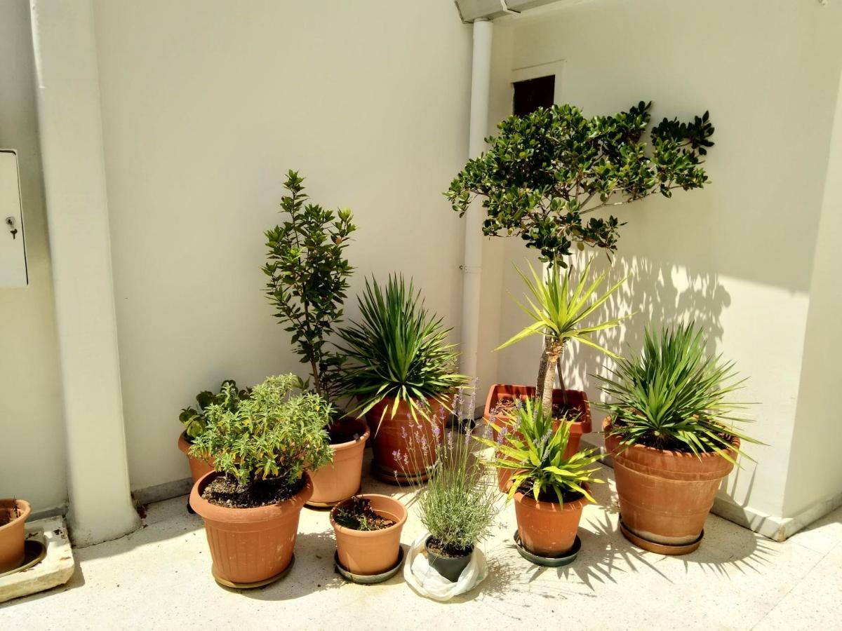 Il Cantone Toritto Esterno foto